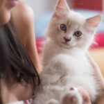 You Thought Your Cat Was Just Aloof - These 10 Signs Prove They're Secretly Obsessed With You