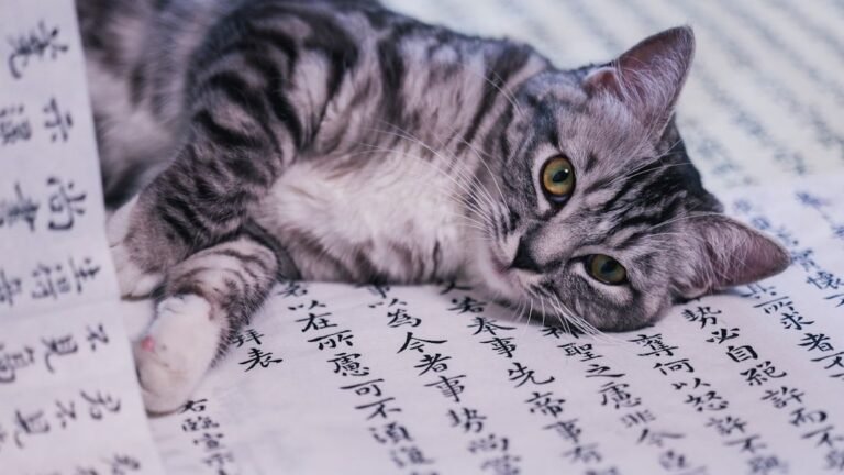 Every Cat Is a Tiny Detective, Uncovering The Secrets of Your Home Life