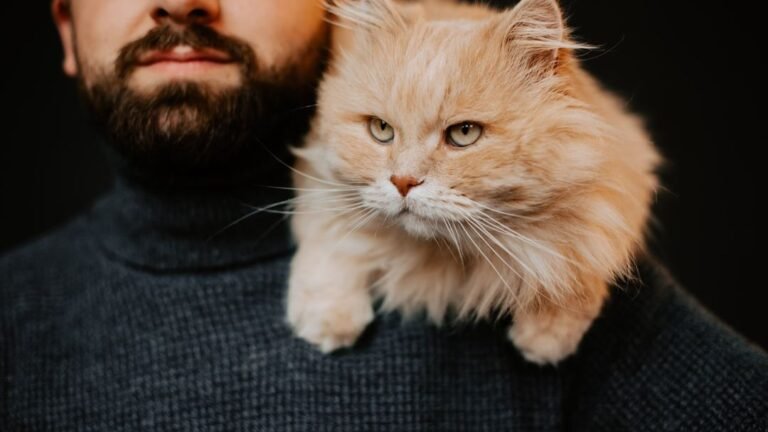 Do Cats Choose Their Humans? Unpacking the Mystery of Feline Affection