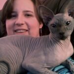 8 Unconventional Cat Breeds That Are Surprisingly Affectionate Companions