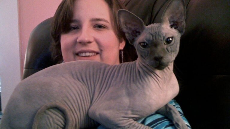 8 Unconventional Cat Breeds That Are Surprisingly Affectionate Companions