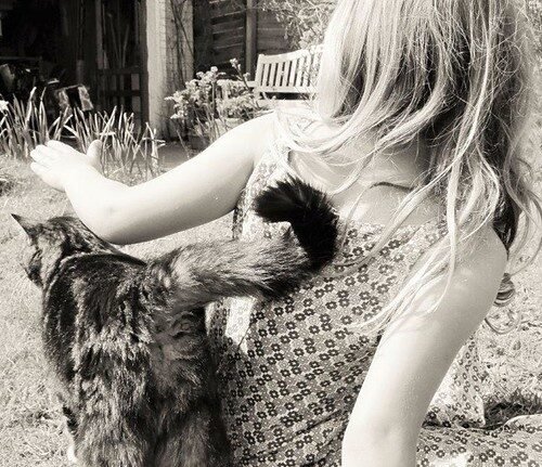 Wrapping Their Tail Around You Like a Hug