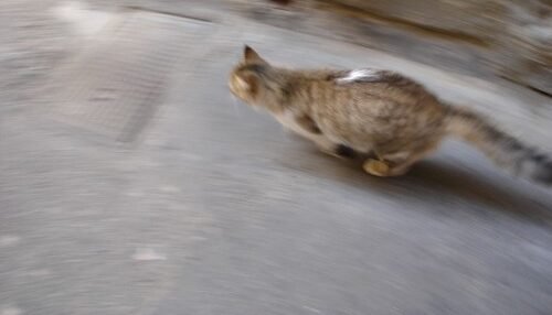 Pent-Up Energy: The Most Common Culprit