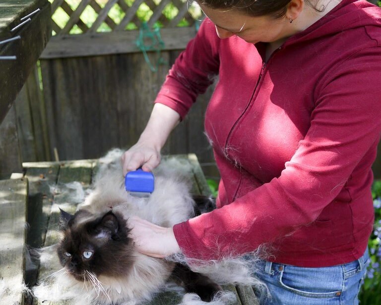 Conclusion: Beauty Comes At An Exhausting Price