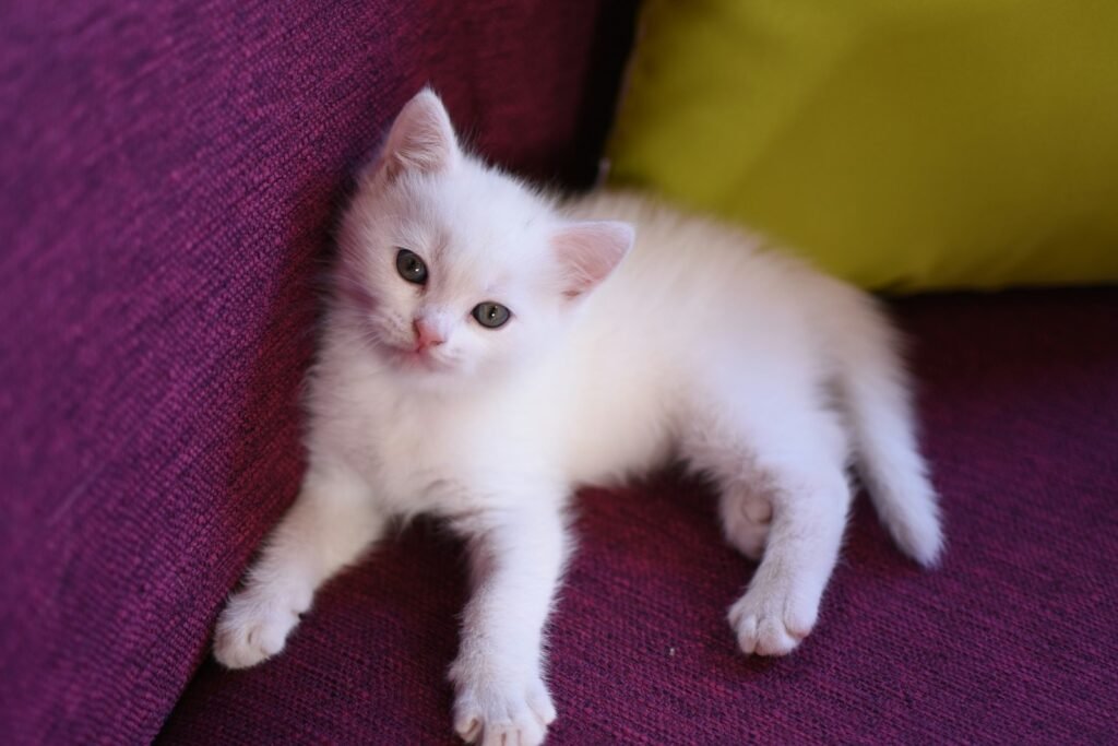 The Heart-Wrenching Discovery