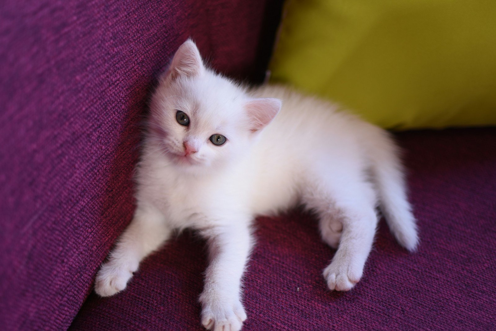 The Heart-Wrenching Discovery