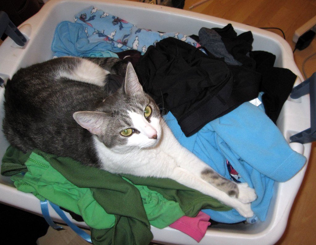 Enclosed Spaces Tap Into Ancient Instincts