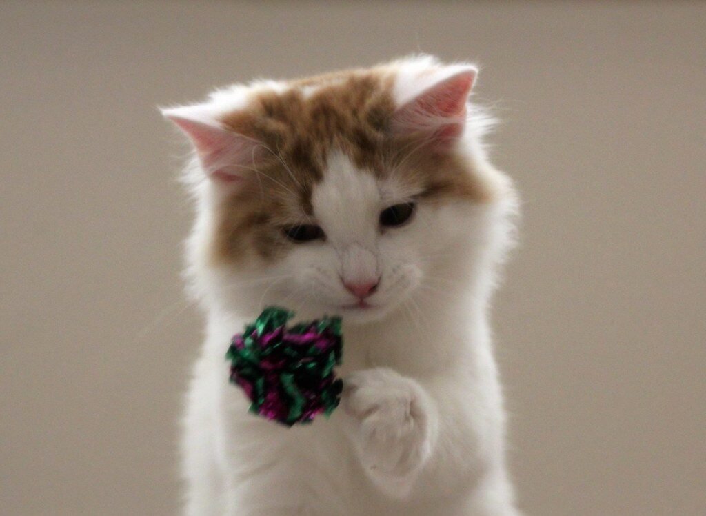 Lightweight Toys Are Easier to Bat Around