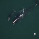 A Welcome Surge in Newborns