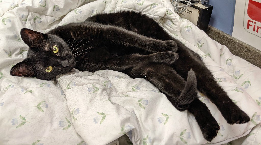 A History of Heartbreak