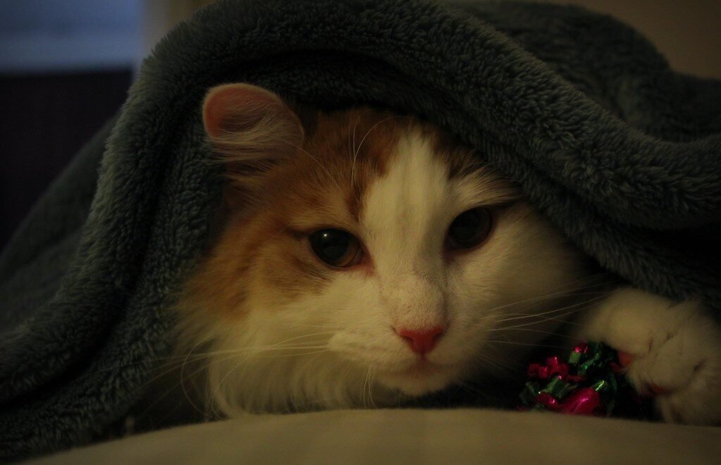 They Can Control the Interaction Completely