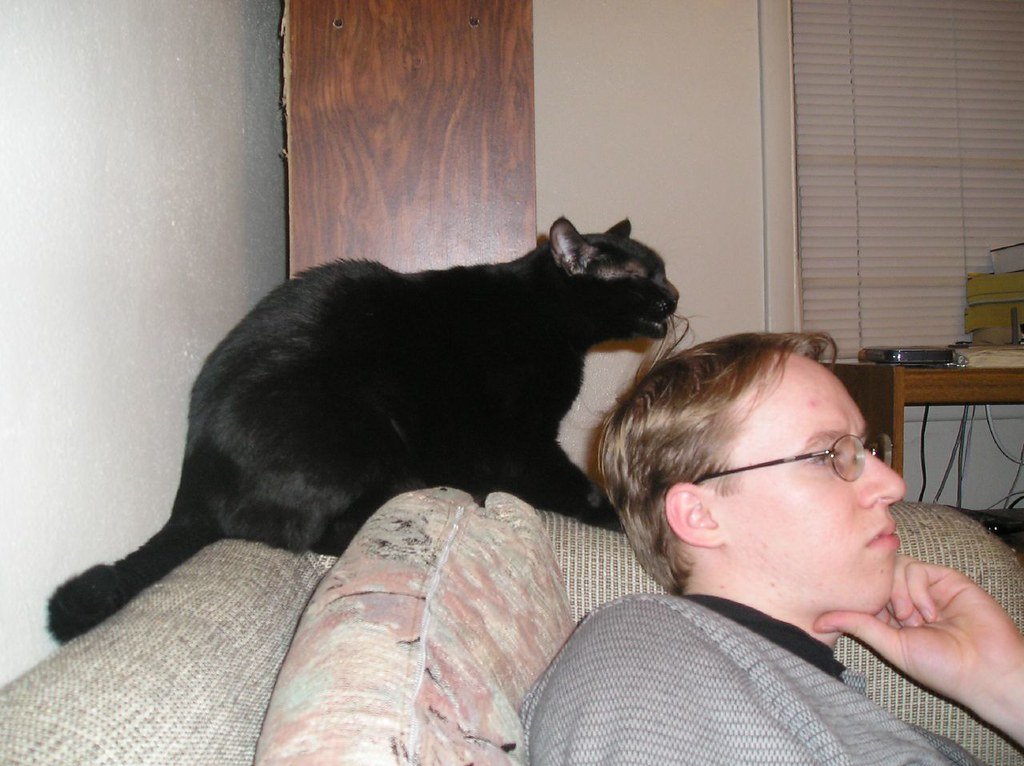 Grooming Your Hair While You Sleep 