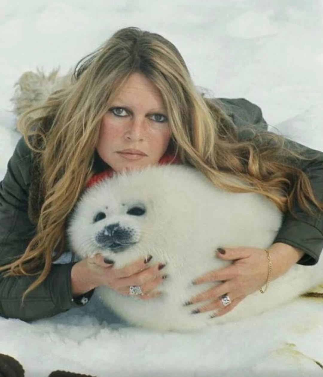 From Screen Siren to Animal Defender