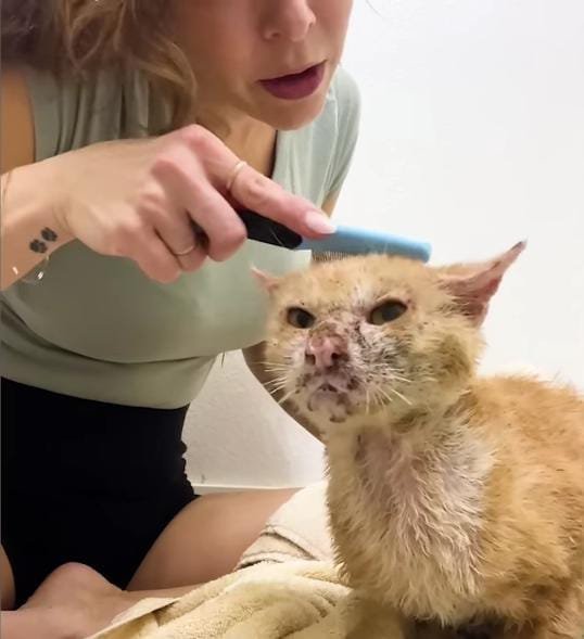 Small Victories and Careful Rehabilitation