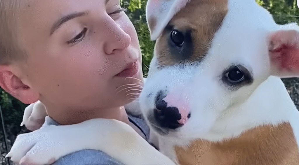 12-Year-Old Roman McConn Saves Over 5,000 Shelter Dogs Through Project Freedom Ride