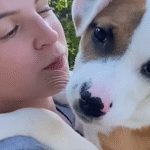 12-Year-Old Roman McConn Saves Over 5,000 Shelter Dogs Through Project Freedom Ride