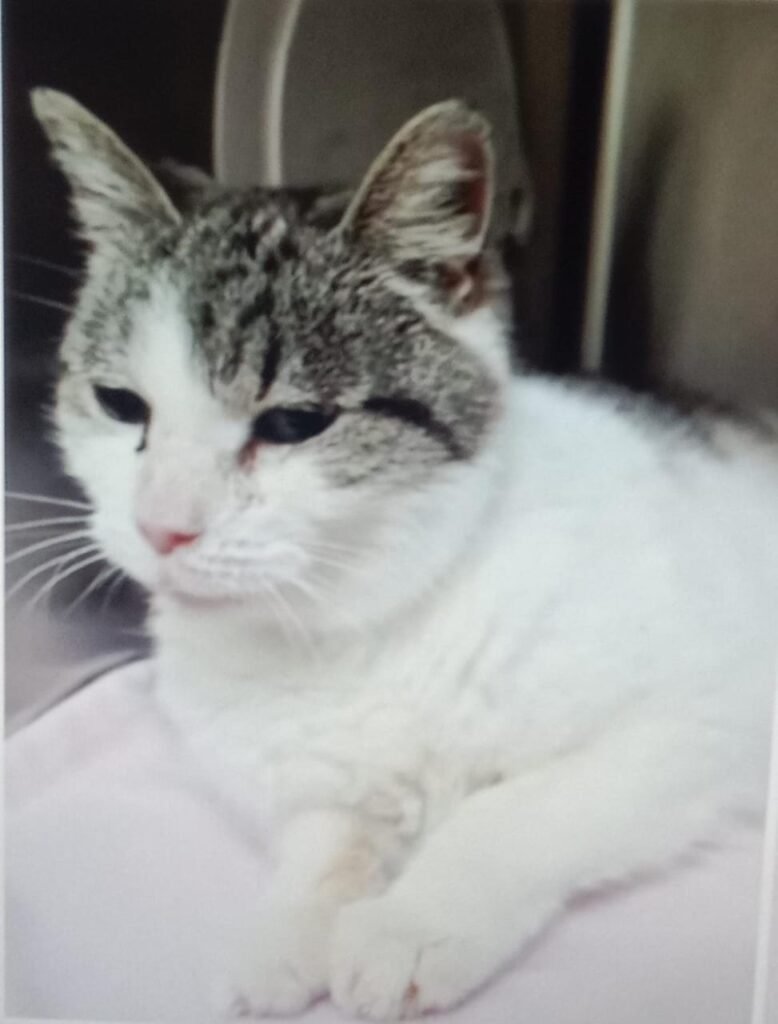 Social Media Sparks Emotion