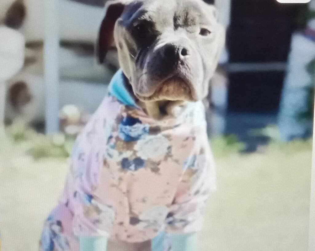 Strength Returns, Personality Emerges