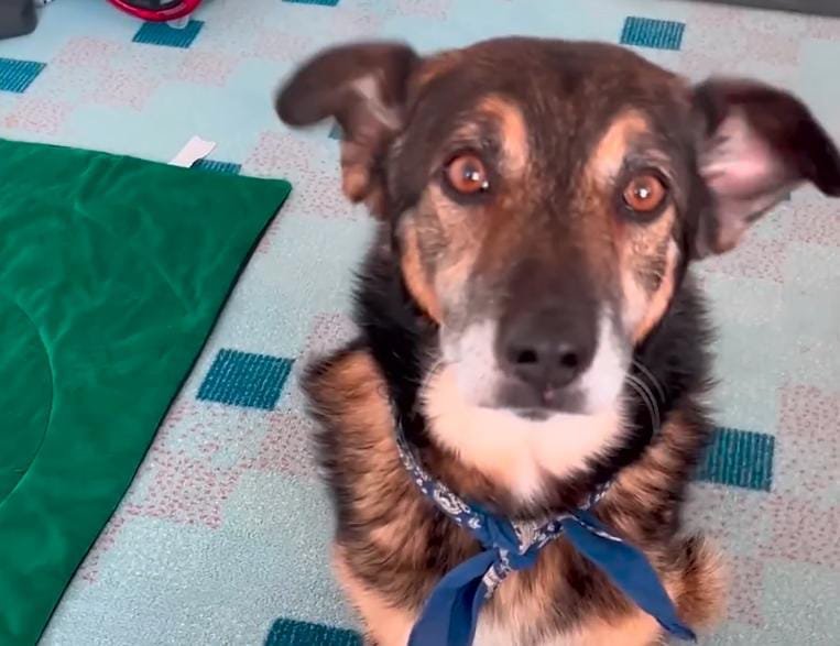 A New Home and a New Mission