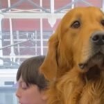 Not Just Friendly With Strangers