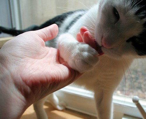 They Think You Need Cleaning