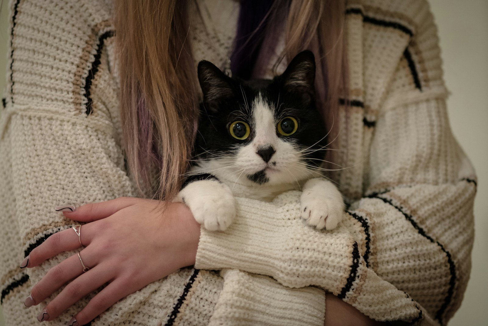 7 Subtle Signs Your Cat Has Formed a Lifelong Bond with You