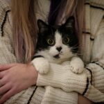 Cats Read Your Face Like an Open Book