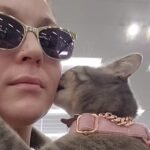 Meet Beef: The Extra-Affectionate Cat Who Became a Local celebrity