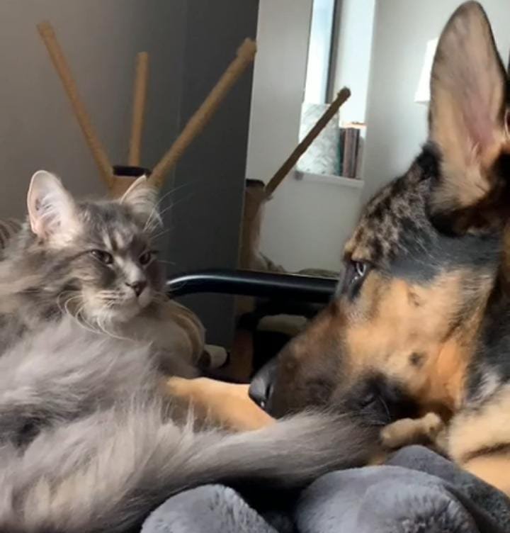 The Spark of an Extraordinary Bond