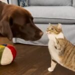 An Unexpected First Impression