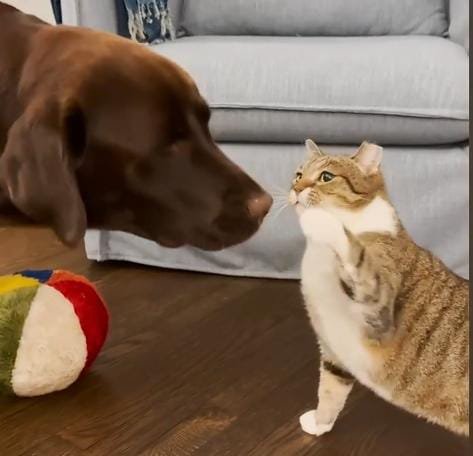 An Unexpected First Impression