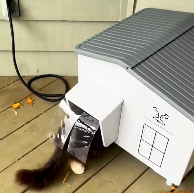 Introducing the Gift — and a Warm Welcome