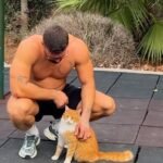 Stray Cat Interrupts Workout—and Ends Up Choosing Her Forever Human