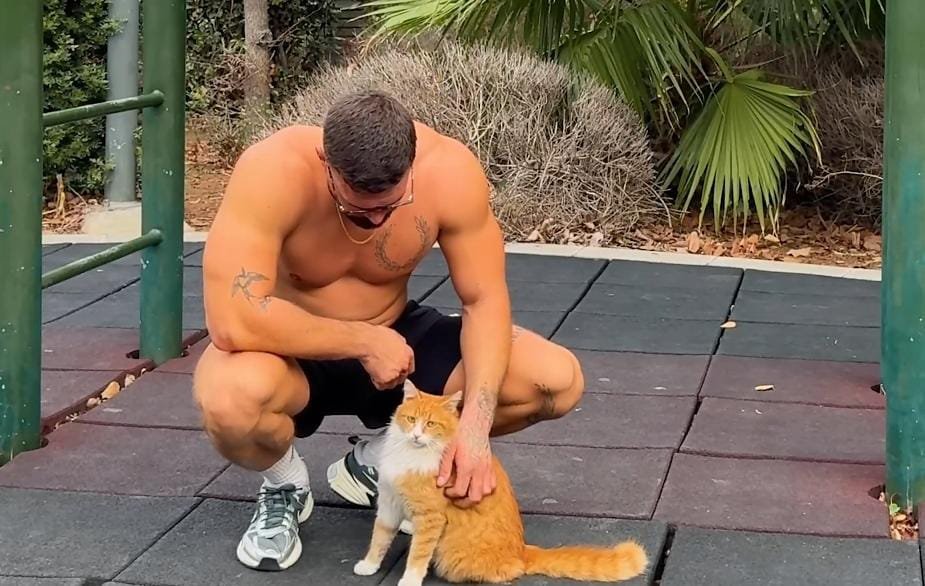 Stray Cat Interrupts Workout—and Ends Up Choosing Her Forever Human