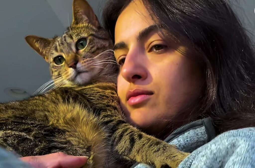 These Cat Siblings Stick to Mom Like Glue the Moment She Wakes Up