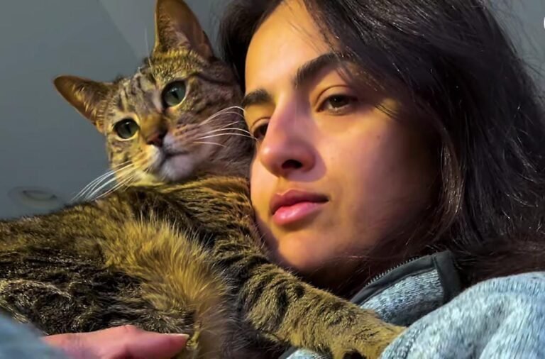 These Cat Siblings Stick to Mom Like Glue the Moment She Wakes Up