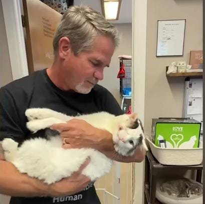 Healing Through Trust and Affection