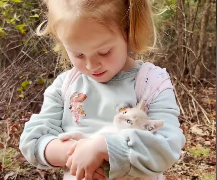 Little Girl Becomes “Mom” to Three Orphaned Kittens