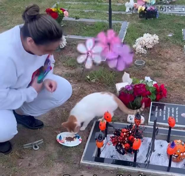 A Painful Farewell Revisited