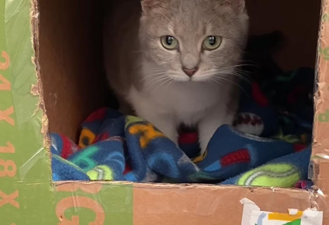 Waiting Until the Moment Was Right