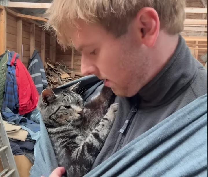 This 13-Year-Old Cat Lives Her Best Life Being Carried Around in a Baby Sling