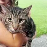 Couple Moves Into Dream Home — And Discovers It Already Has a Cat