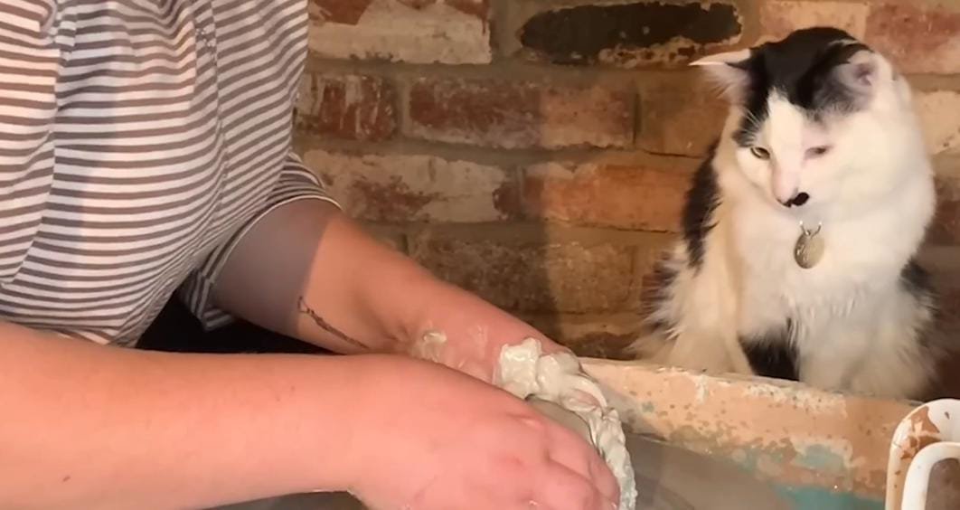 This Cat Refuses to Let Her Mom Have Solo Pottery Time