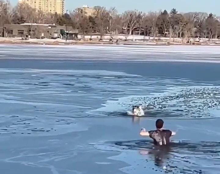 A Perilous Walk in Epping Forest