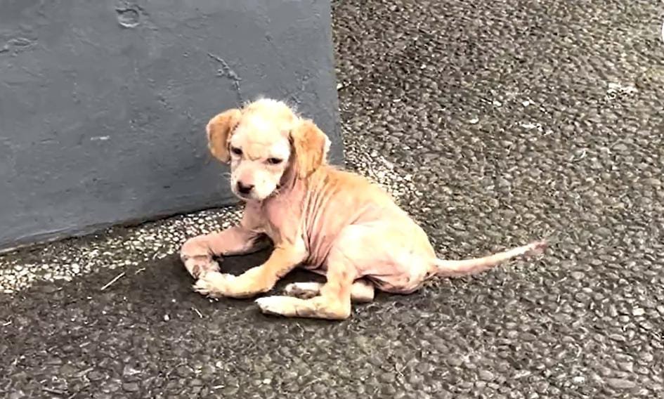 Healing Through Care and Consistency