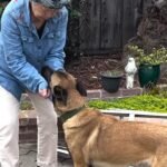 Rescue Dog Rebuilds Her Trust Thanks to the Love of Her Grandparents