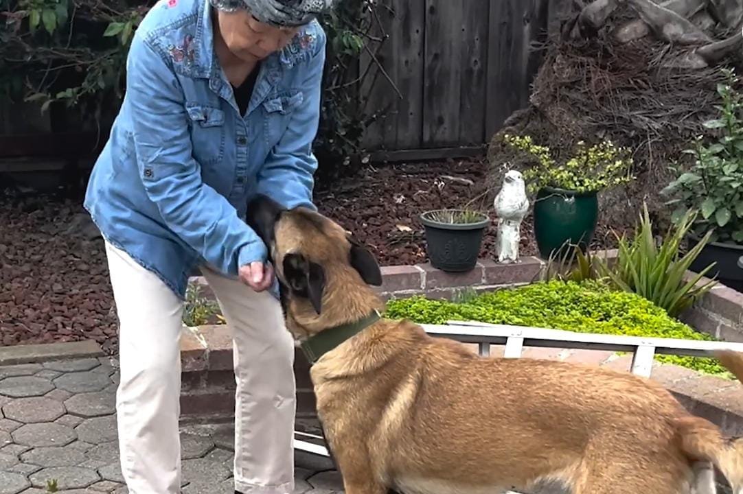 Rescue Dog Rebuilds Her Trust Thanks to the Love of Her Grandparents