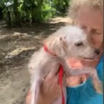 The Careful Process of Healing and Grooming