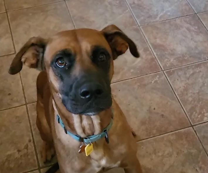 A Shelter Stay Full of Surprises