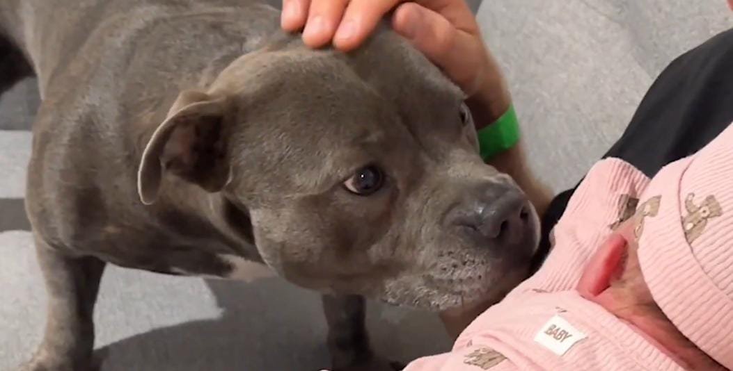 Growing Comfort and Daily Bonding